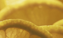 Olde dessert recipes