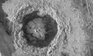 Venus craters