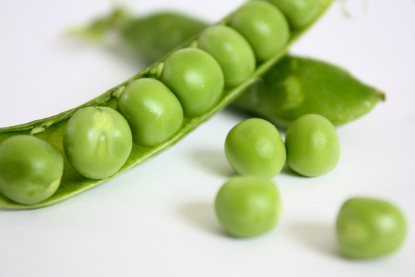 Systems in action: Pea canning case study