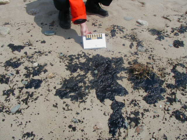 Can microbes clean up oil spills?