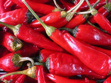 Painkillers get a chilli boost