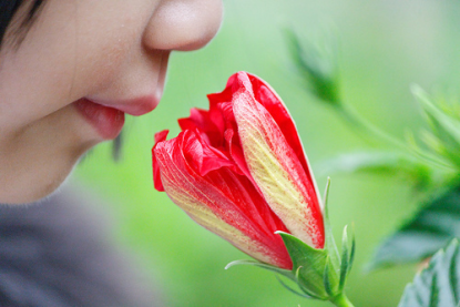 Introducing the sense of smell