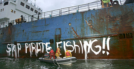 Greenpeace at 40: from ecological pirates to lobbyists and lawyers