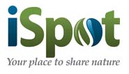 iSpot: your place to share nature