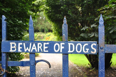 Dangerous dogs, dangerous owners