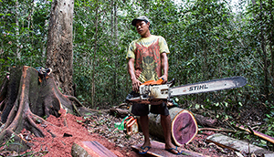 Amazonian challenges: Resource extraction
