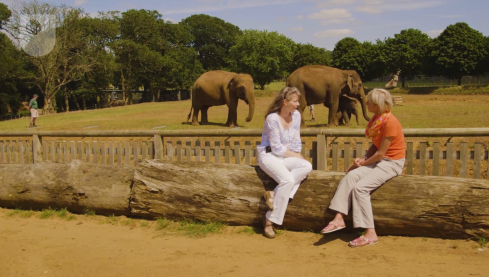 Dr Vicky Taylor on her work with Asian Elephants