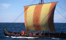 Vikings - just misunderstood?