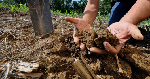 Soil could save Earth from overheating