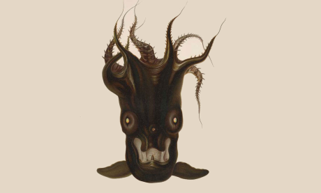 Hallowain't III: Vampire squid from hell