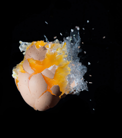 What happens when you microwave an egg?