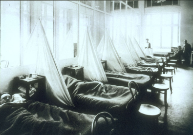 What was the impact of 'Spanish flu' on the armistice?