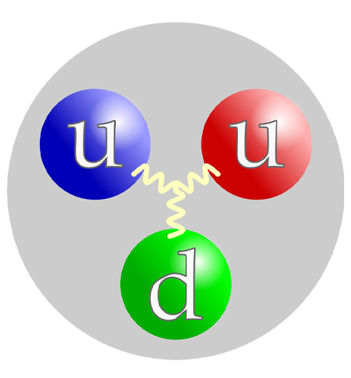 This diagram shows the quark structure of the proton, consisting of two up quarks and one down quark.