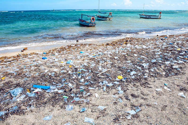 Plastic pollution on the beach of a tropical sea