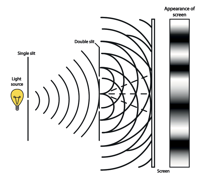 This is a diagram of the double-slit experiment. A light source (represented by a light bulb) sits on the left hand side. The light waves are then depicted as they approach a barrier on the right, which has two slits in it. The waves pass through these slits and continue to travel until they hit the screen. A rectangular strip notated with ‘appearance of screen’ shows a pattern of black and white stripes, with patches of grey blending the space between them.