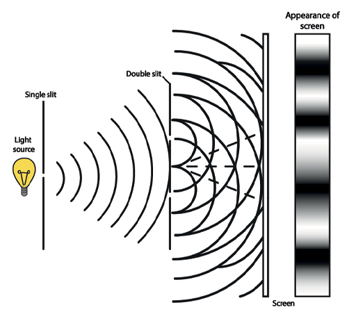 This is a diagram of the double-slit experiment. A light source (represented by a light bulb) sits on the left hand side. The light waves are then depicted as they approach a barrier on the right, which has two slits in it. The waves pass through these slits and continue to travel until they hit the screen. A rectangular strip notated with ‘appearance of screen’ shows a pattern of black and white stripes, with patches of grey blending the space between them.
