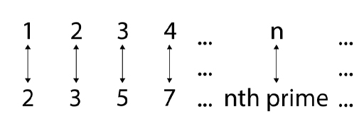 This is a diagram of the numbers 1 to 4 followed by an ellipsis, then the letter n followed by an ellipsis. The first row of numbers is above a second row of prime numbers (2, 3, 5, 7) followed by an ellipsis and the expression ‘nth prime’. An arrow is joining each number on the top row with a single prime number on the bottom row.