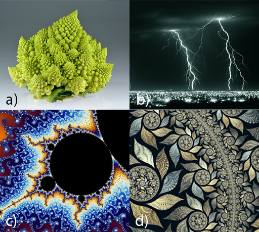 This is a collage of four images demonstrating the appearance of fractals.