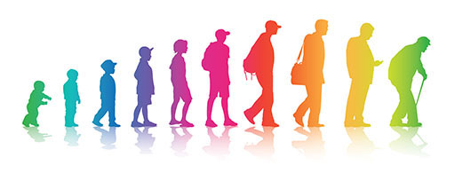 Coloured silhouettes showing life changes from baby to eldery person.