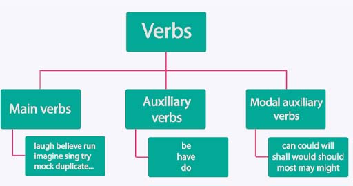 Under the heading ‘verbs’ there are three lines leading to boxes labelled ‘main verbs’, ‘auxiliary verbs’ and ‘modal auxiliary verbs’ Under each of these headings, there are examples of the corresponding category of verbs.