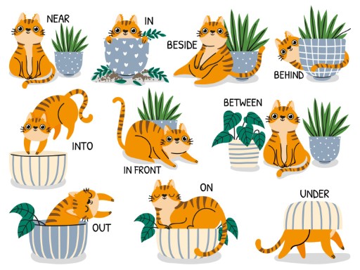 This features a number of cartoon cats demonstrating some closed class words such as near, in, beside and behind.