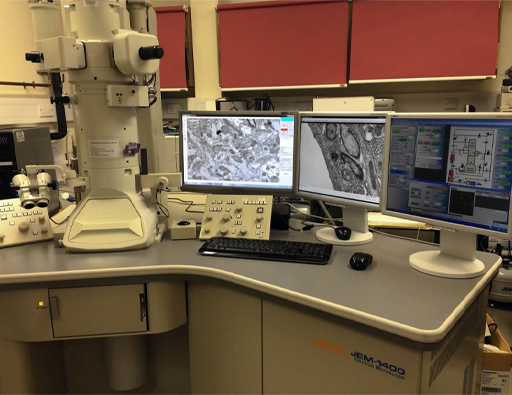 This is a photograph of a scientific laboratory. On a workbench on the left is the electron microscope, which looks like a large vertical metal tube-shaped structure with various knobs and attachments. To the right of this are three computer screens showing different magnified outputs from the electron microscope and control screens.