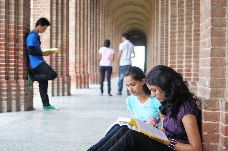 Group of university students studying