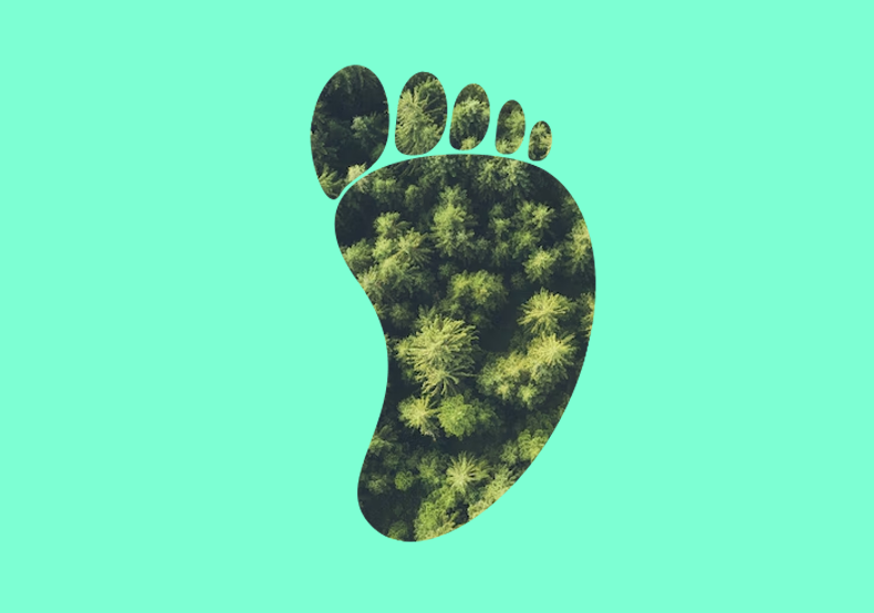 Cyfrifo eich ôl troed carbon