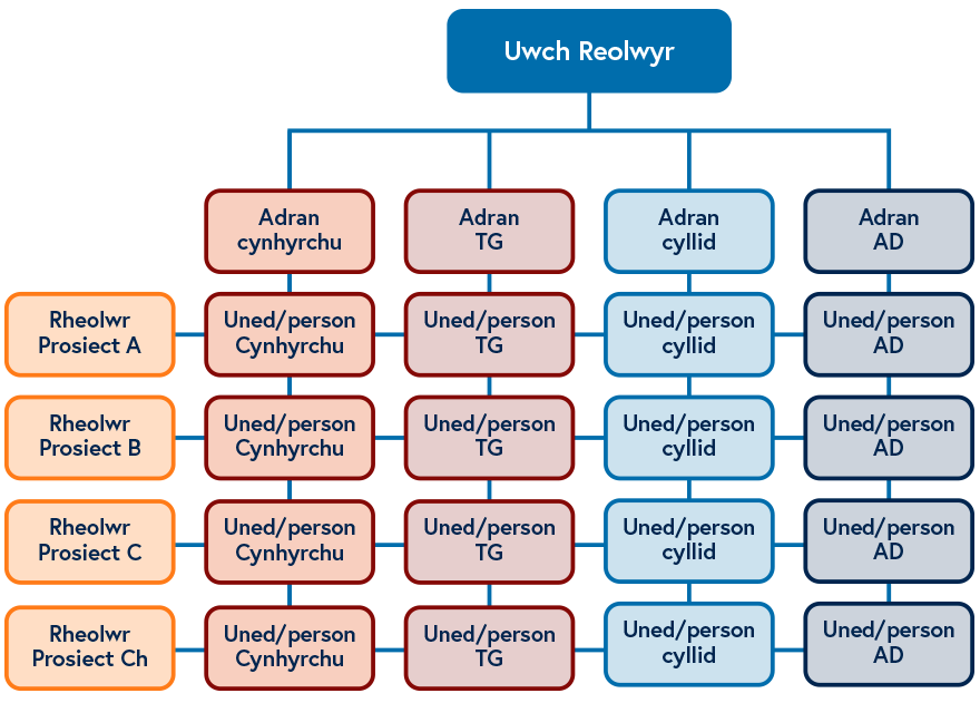 Y ddelwedd a ddisgrifir