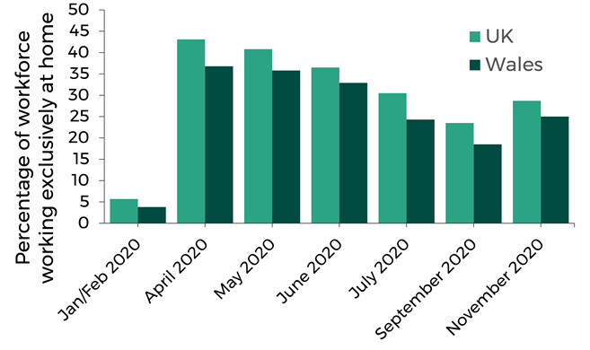 Y ddelwedd a ddisgrifir