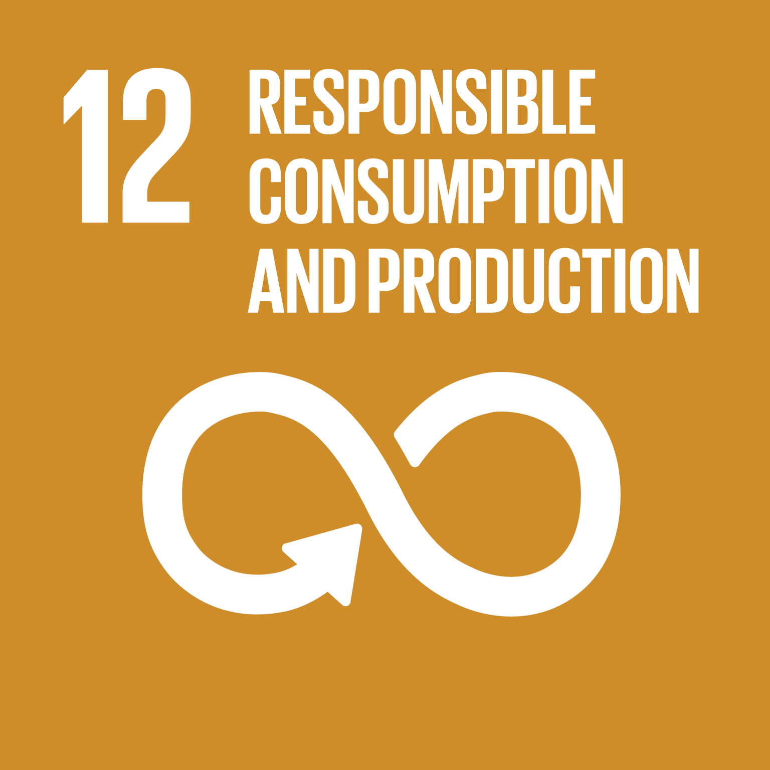 SDG12 Sustainable Consumption and Production