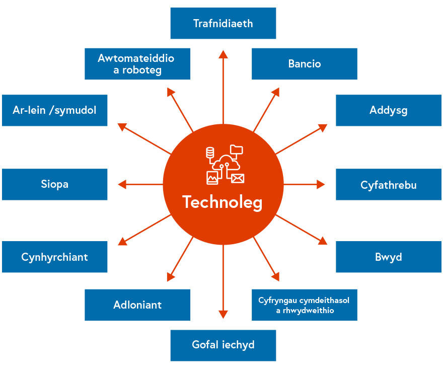 Y ddelwedd a ddisgrifir