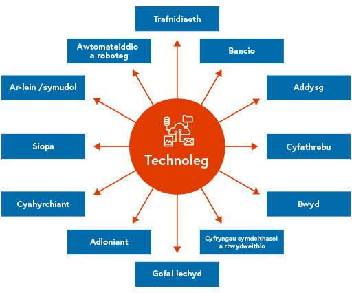 Y ddelwedd a ddisgrifir