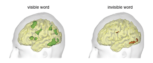 This is a diagram showing two human brains within outline heads. Regions of recorded brain activity are coloured. The left is labelled ‘Visible word’, and there are seven patches of green seen across the brain where there is brain activity. The right is labelled ‘Invisible word’, and there are two small patches of red where there is brain activity. The larger of these is located near the base of the brain at the back and the second particularly small patch is near the centre of the brain. These both have a similar shape and location although smaller size to corresponding patches in the left brain.