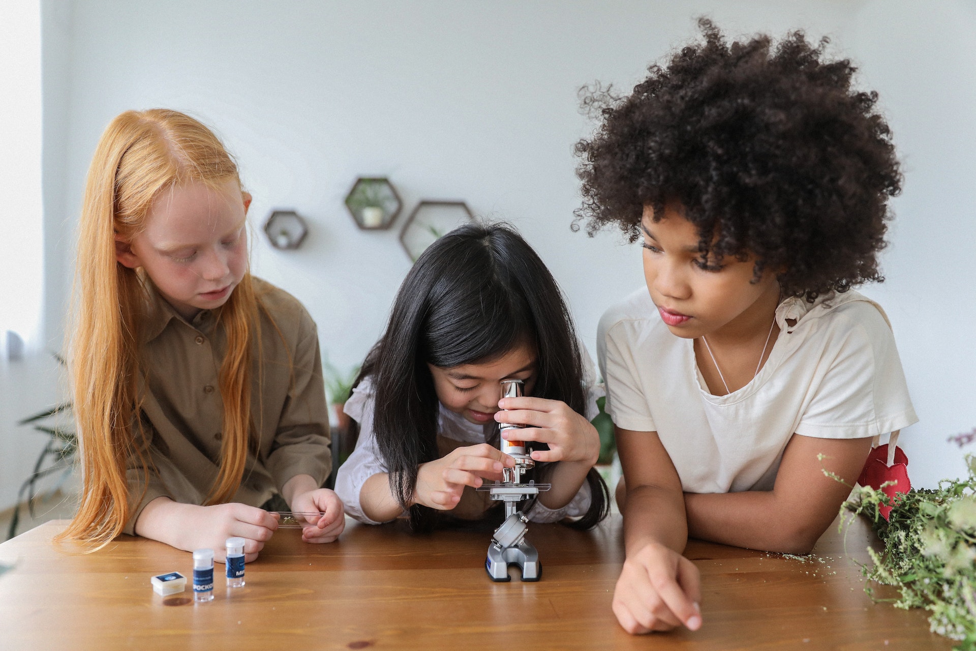 Northern Ireland Science Festival 2022: Tackling BAME Disparities in STEM Education