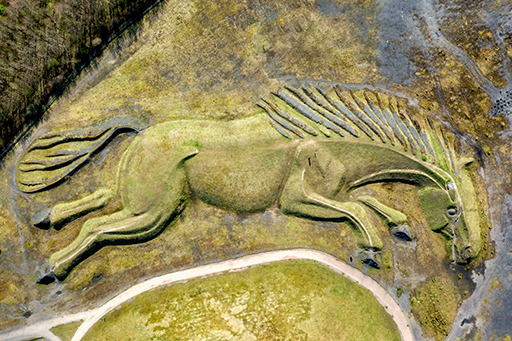 Y ddelwedd a ddisgrifir