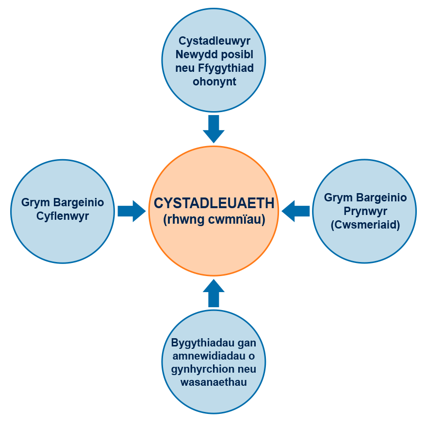 Y ddelwedd a ddisgrifir