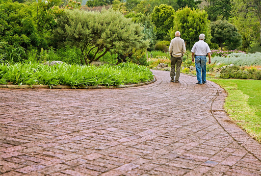 Two people walking in a green open space.
