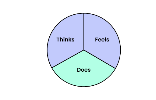 A circle in three sections: thinks, feels and does.