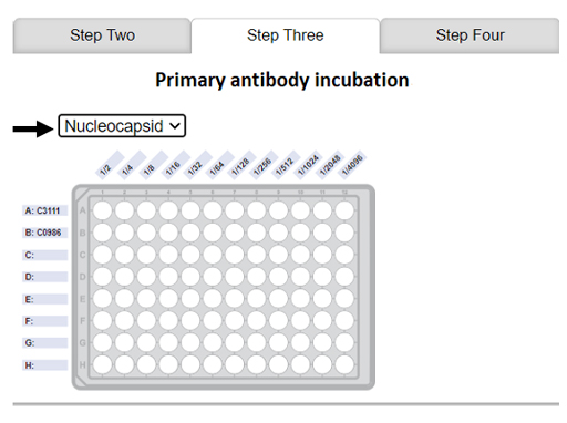 Diagram displaying the selection of the nucleocapsid ELISA plate.