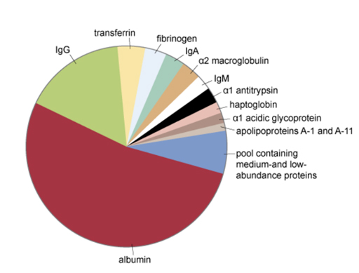 A colour pie chart showing the labelled protein components of plasma.