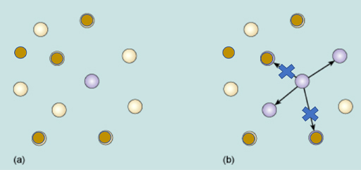 Diagrammatic representation of the effective reproduction number RE.