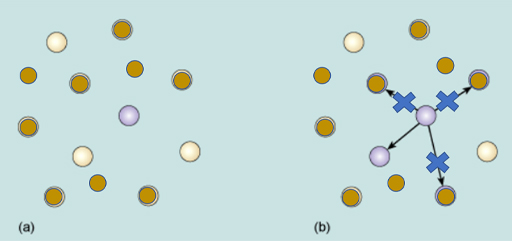 Diagrammatic representation of herd immunity threshold for a disease where R0 = 4.