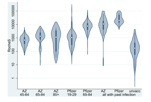 Diagram displaying antibody responses after two doses of ChAdOx1 (AZ) or BNT162b2 (Pfizer) in different subject groups.