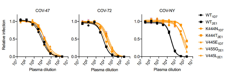 Diagram of 3 line graphs displaying the ability of plasma from 3 different convalescent individuals (COV-47, COV-72, COV-NY).