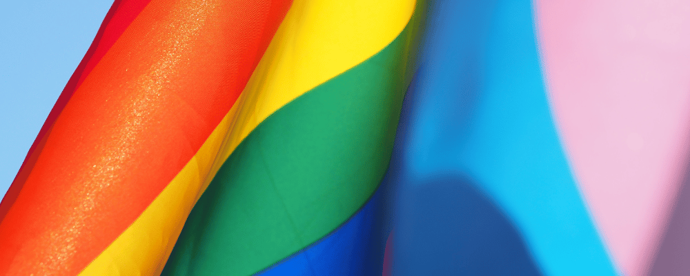 LGBTQ+ flags