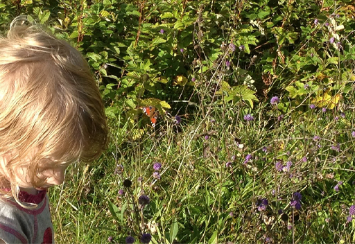 A child surrounded by flowers.