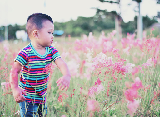 A child surrounded by flowers.