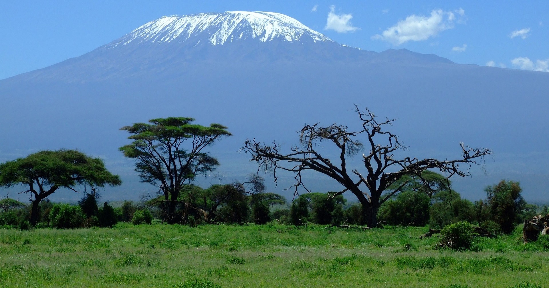 Snow-capped Kilimanjaro shown in the distance beyond green vegetation