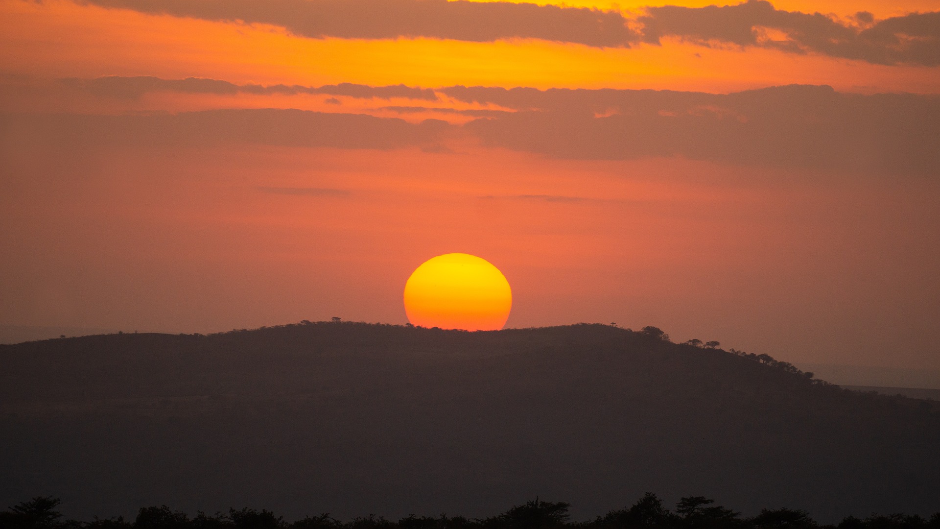 Sunset in Tanzania. An enormous glowing orange sun sinking into the horizon